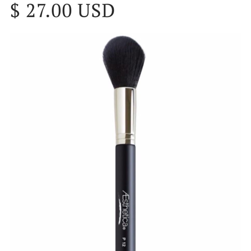 BRAND NEW NEVER OPENED AESTHETICA P12 brush